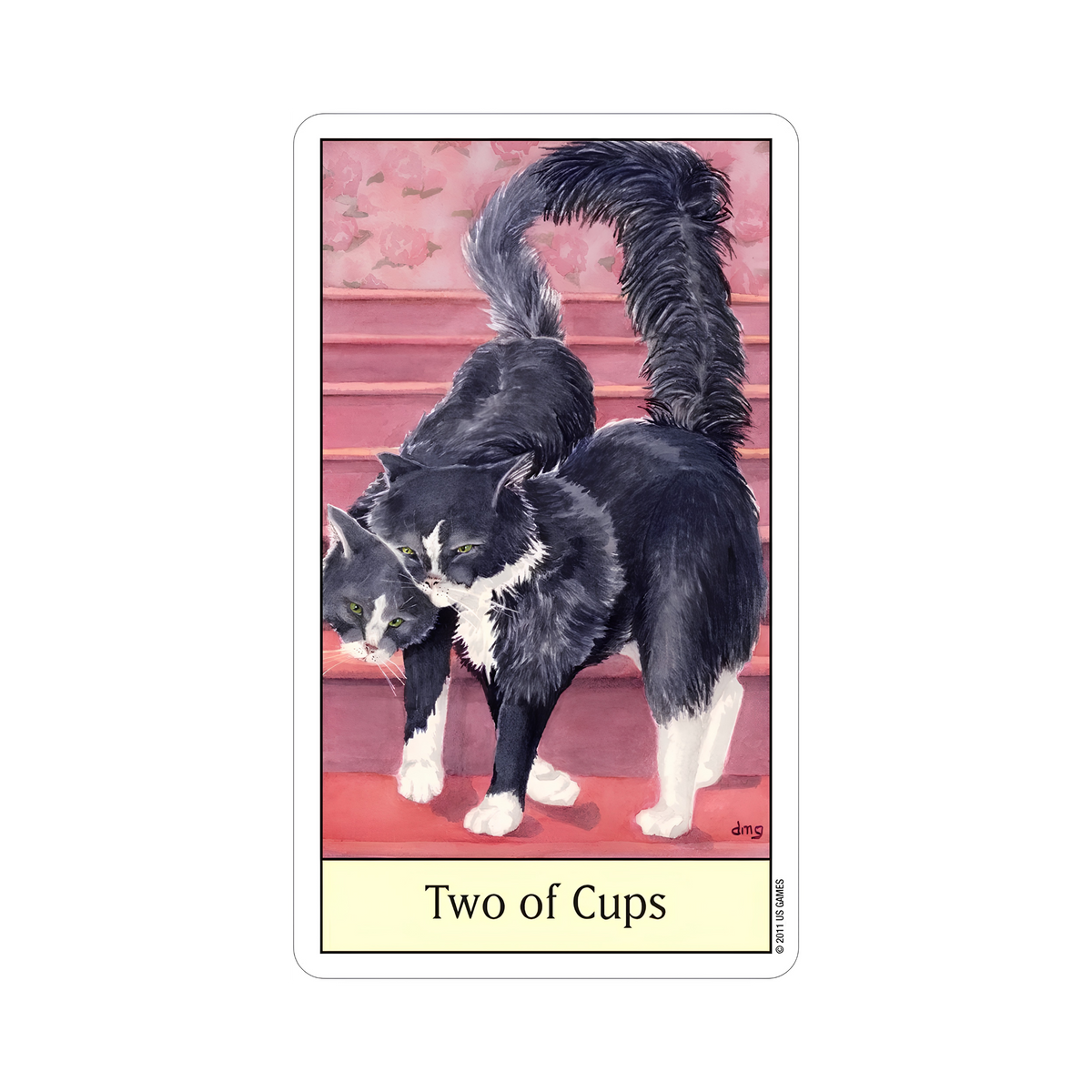 Cat's Eye Tarot Deck by Debra Givin