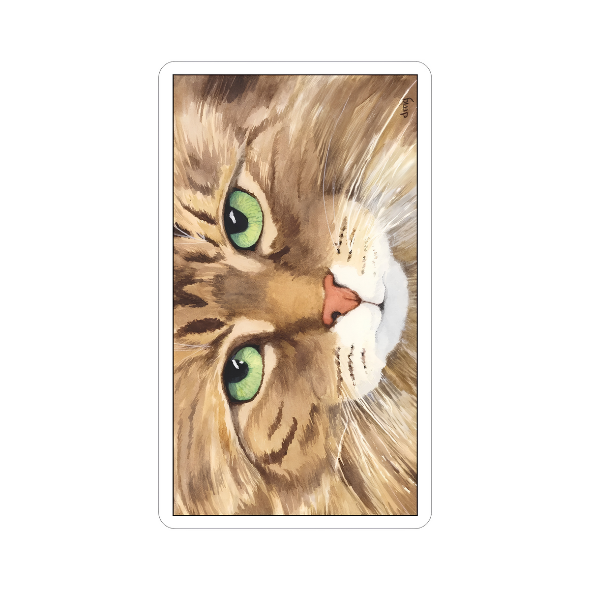 Cat's Eye Tarot Deck by Debra Givin