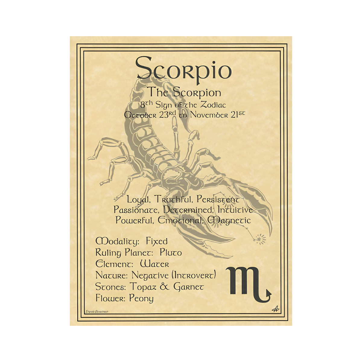 Scorpio Zodiac Poster – 8.5 × 11 Inch