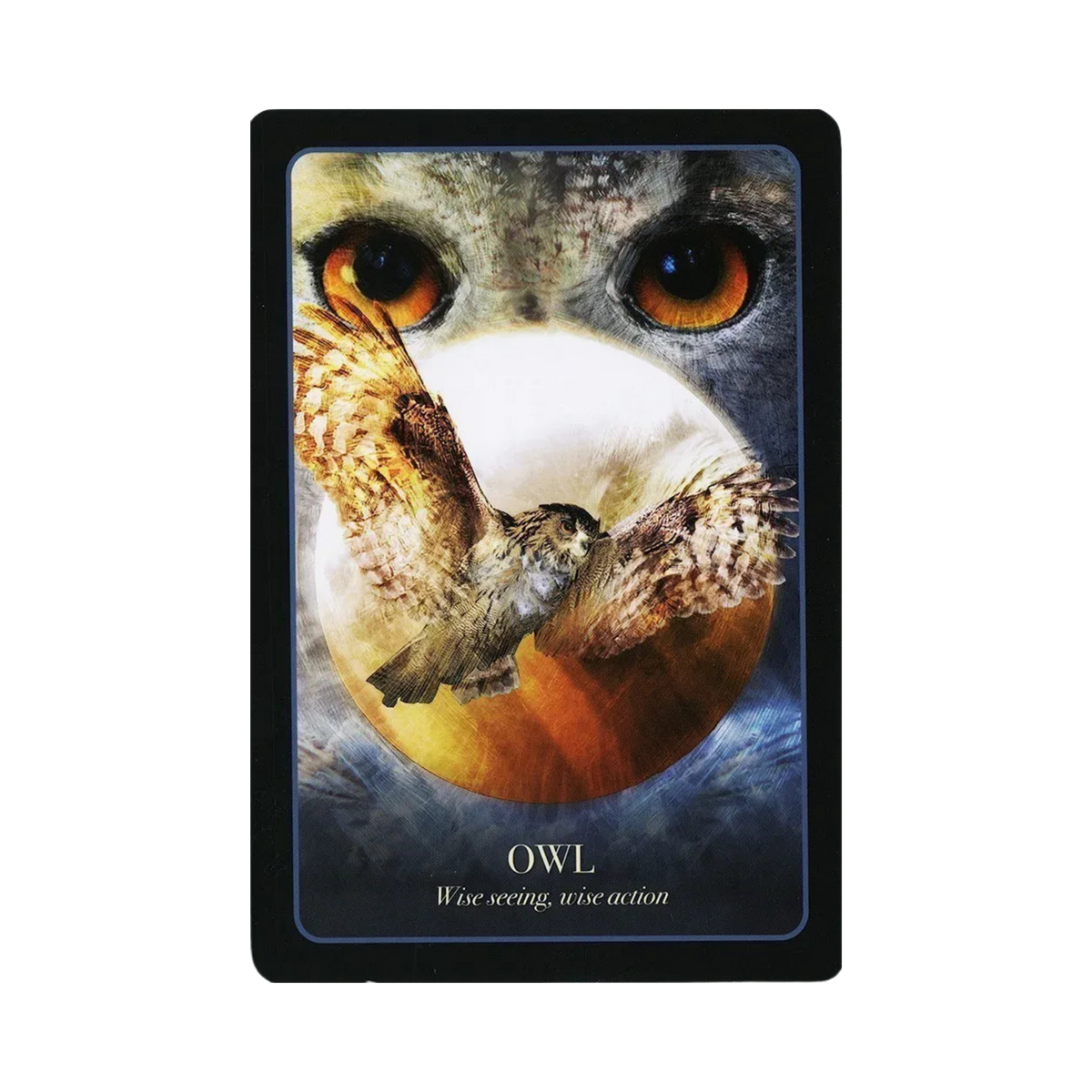 The Halloween Oracle