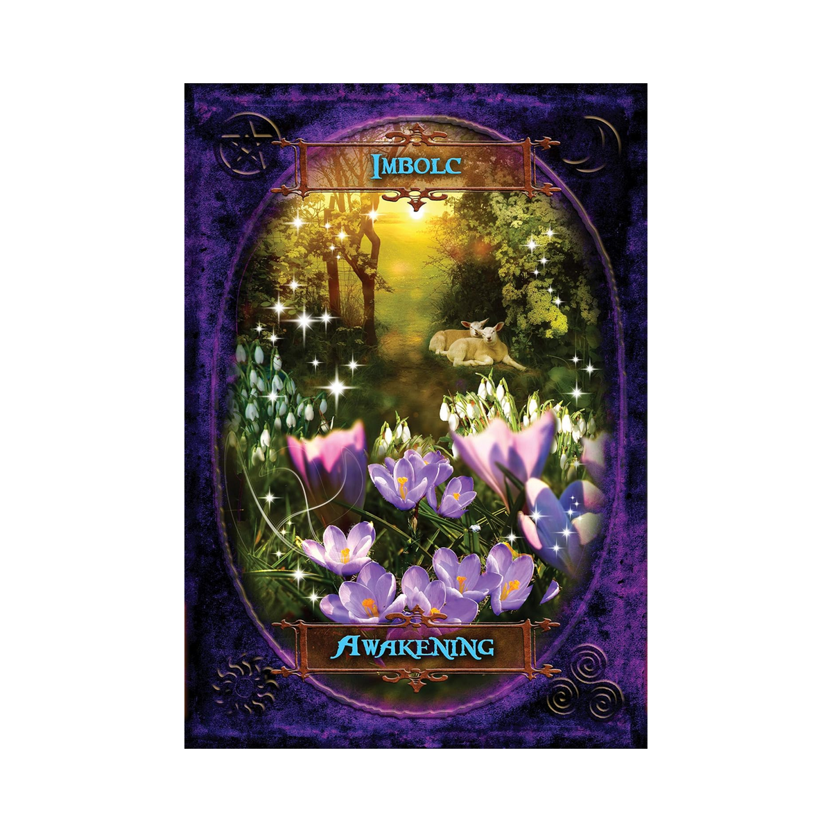 Witches' Wisdom Oracle